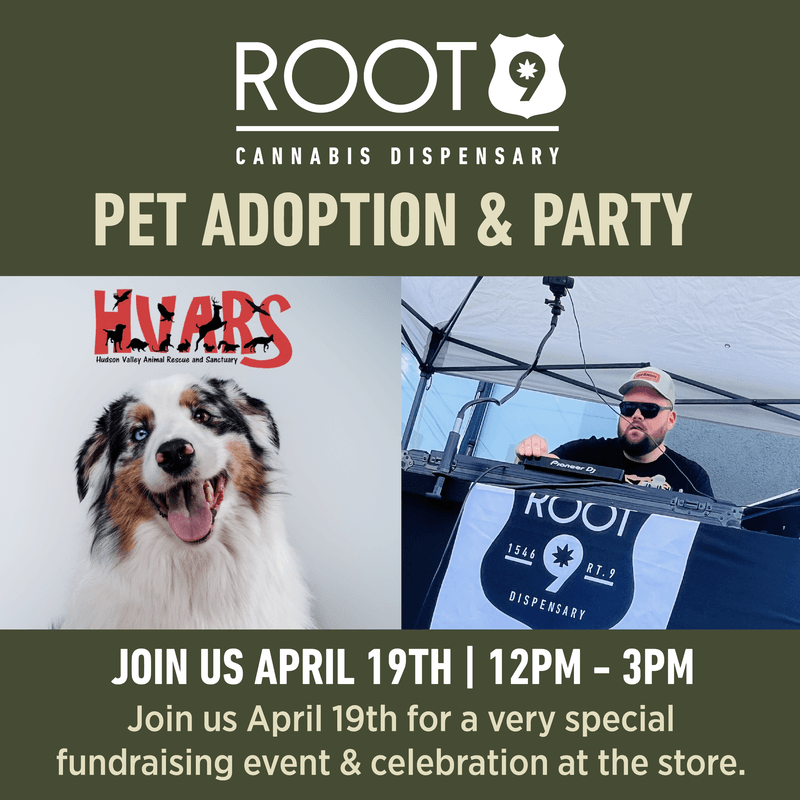 Root 9 Pet Adoption